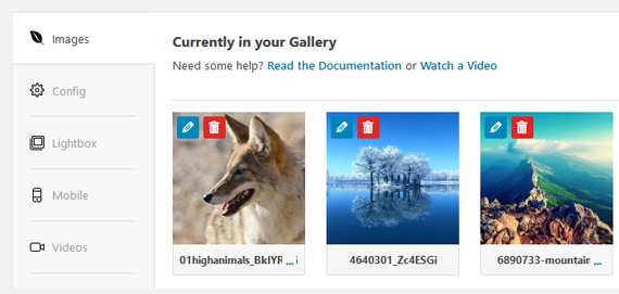 Página de configuración de la galería de imágenes del plugin Envira Gallery