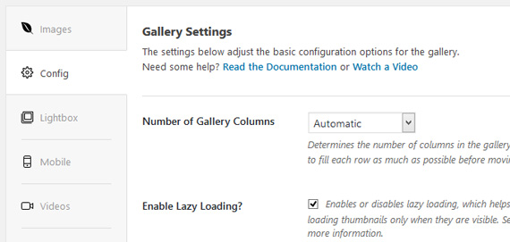 Pestañas de la página de configuración del plugin Envira Gallery