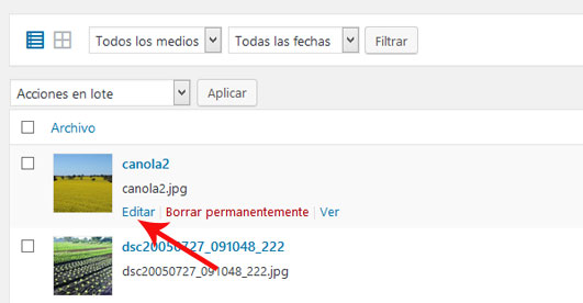 Editar imagen del panel de administración de WordPress