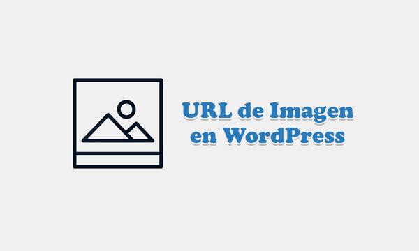 Obtener URL del Enlace de Imagen en WordPress