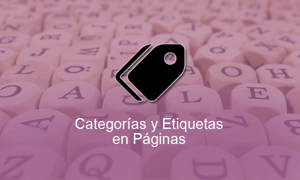 Añadir categorías y etiquetas en páginas de WordPress