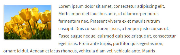 Alinear y estilizar imágenes con CSS en WordPress