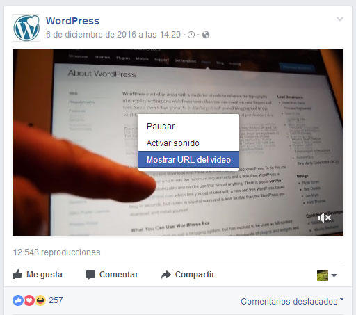 Mostrar URL de vídeo de Facebook para insertarlo en WordPress