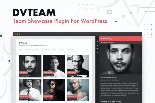 DVTeam Team Showcase Plugin for Wordpress