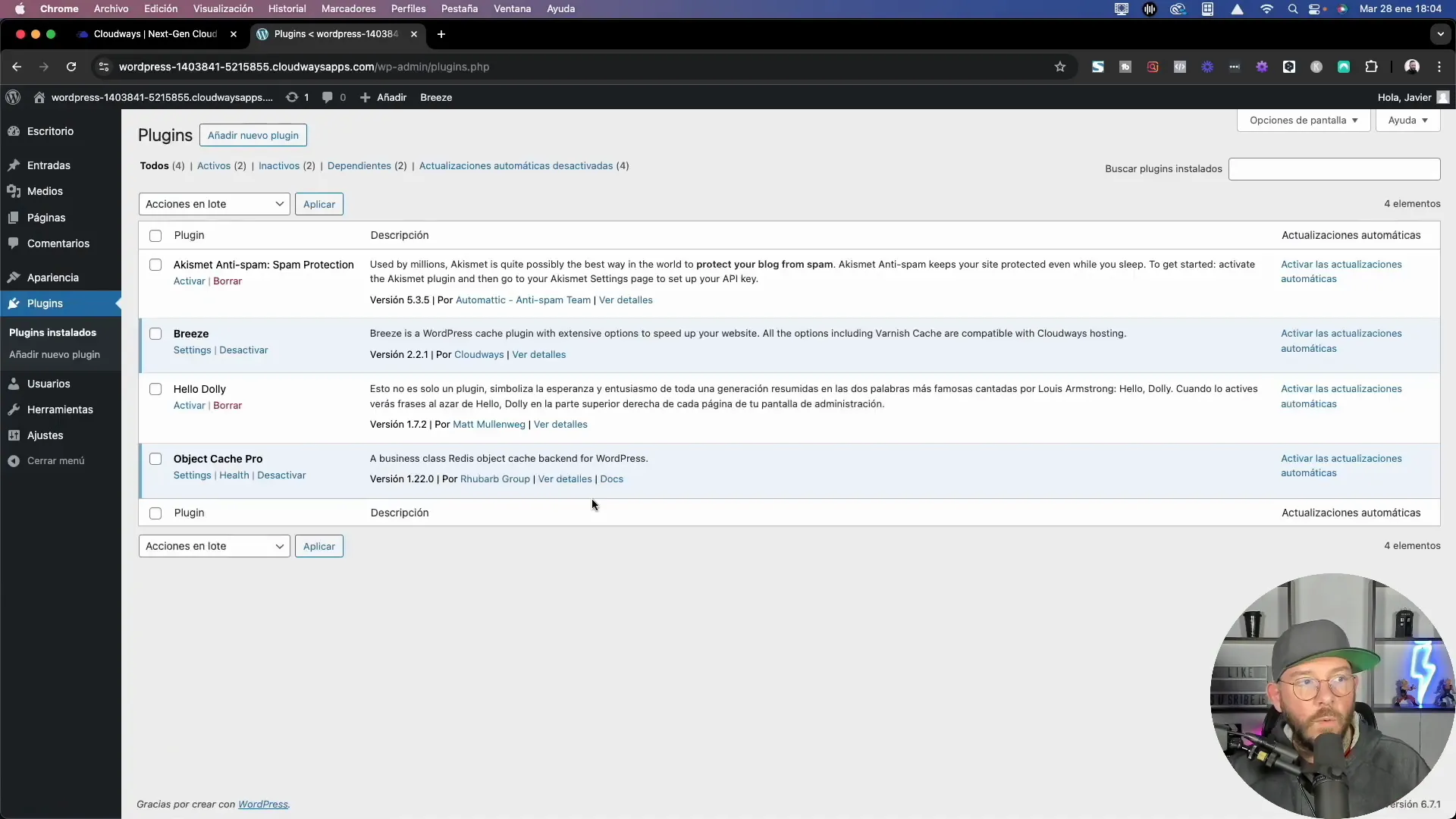 Instalando el Breeze Cache Plugin